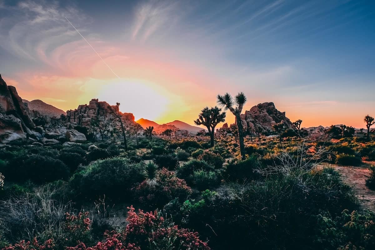 Image for 10 Towns Near San Diego Where You Can Escape the Big City Stress