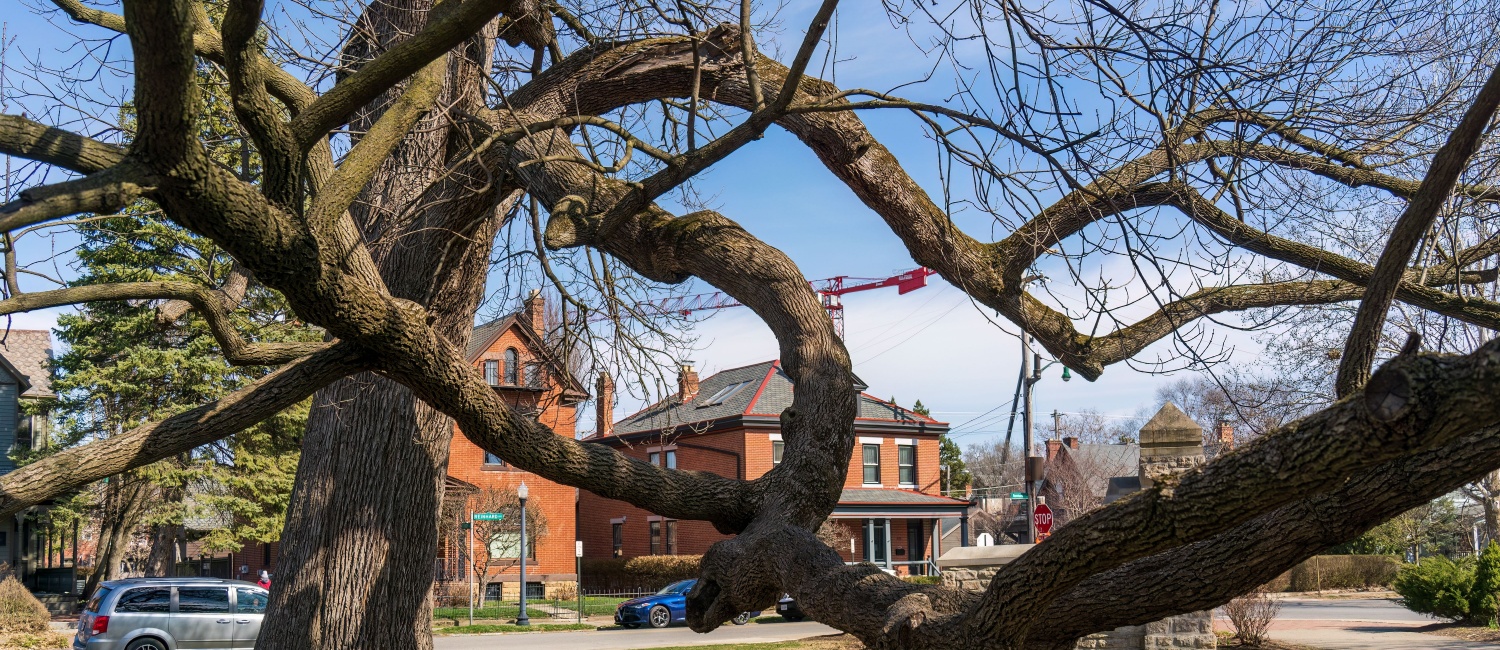 Image for 10 Most Affordable Suburbs in Columbus, OH for Renters